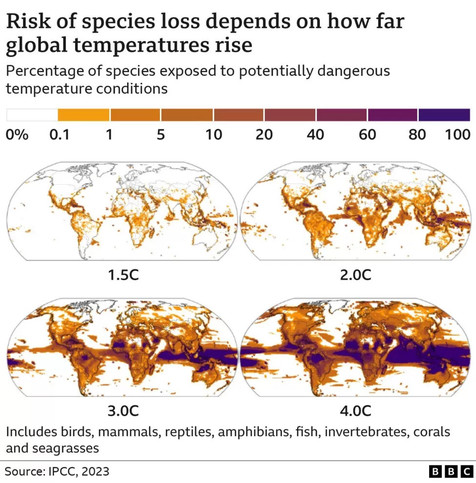 graphic and global maps - risk of species loss dependent on how far global temperatures rise