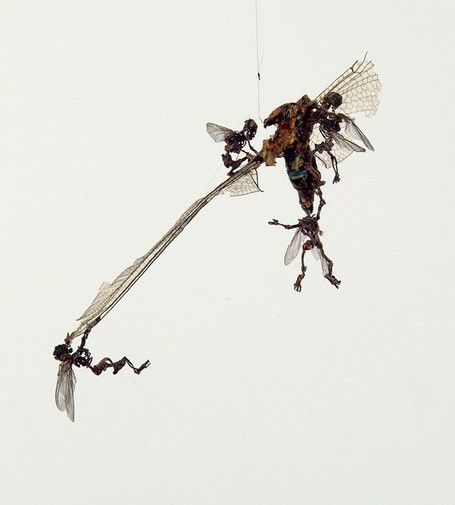 A tiny sculpture of a mini-swarm of skeleton fairies attacking and dismembering a (I think) damselfly.