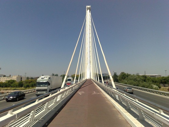 a photograph taken on the bridge, the white cables and traffic on either side, the sky a dusty blue color