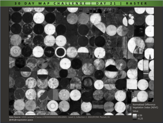 Image shows a normalized difference vegetation index map of center pivot irrigation in Plymell, Kansas. White pixels will show healthier crops than the darker pixels.