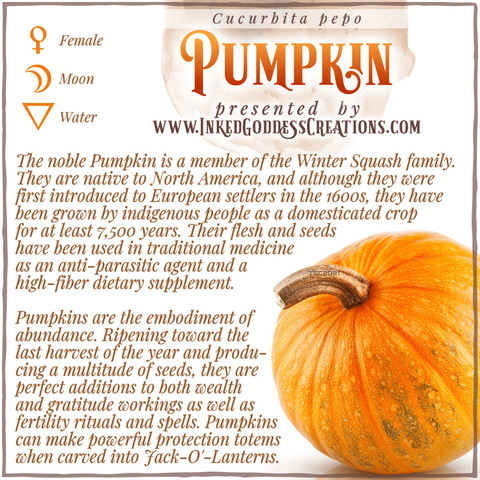 A graphic about Pumpkins featuring a photo of the fruit, from Inked Goddess Creations.