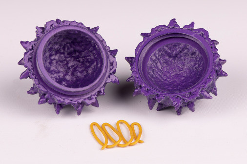 computer graphics simulation showing the spherical capsid of poliovirus tainted purple and cut open in two halves with the insides facing the viewer. In the middle in front of the half-shells, the RNA genome is laid out as a yellow thread loosely wound in four loops.