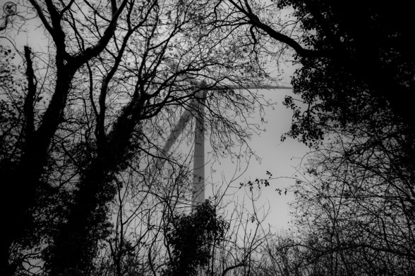 Monochrome shot of wind turbine hidden in fog with trees in foreground as a silhouette