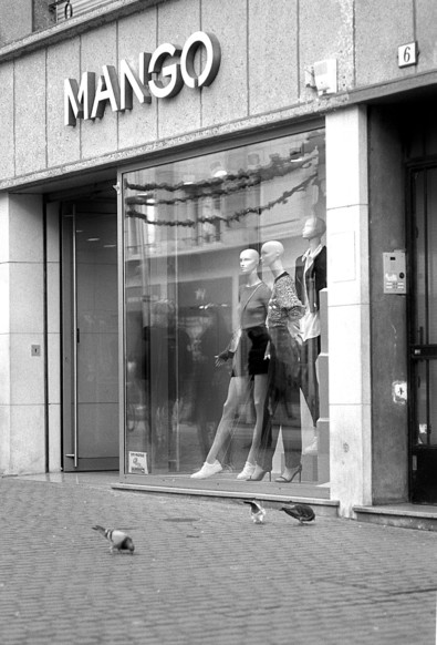 Pigeons affamés devant une vitrine avec mannequins.Photographie noir et blanc