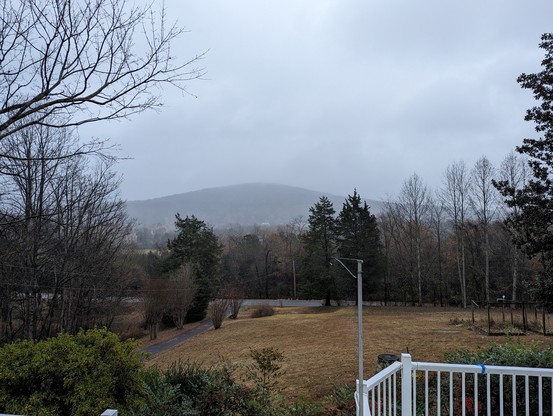 A snapsot featuring gray skies above a distant hill, with some cedars a brown lawn, and a portion of a fence and some shrubs in the foreground.