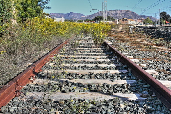 Abandoned railroad track. Weeds and undergrowth can be seen hiding the track in the background of the image.