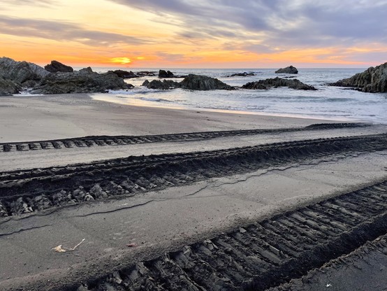 Bulldozer tracks across the pebble beach lead into the sea, under an early morning sky