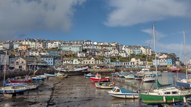 A view across Brixham harbour with the tide out, showing a hillsiide of whitewashed houses behind nd many boats grounded in mud in the foreground