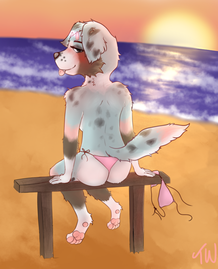 My fursona sitting on the remains of what looks like a used-to-be wooden cattle fence, on a beach with orange-yellow sand and a deep blue ocean in the distance, the sun is setting shining on the watter, the sky is filled with a beautiful red-orange sunset, my fursona (the Australian shepherd anthro) is wearing bikini bottoms while the top is sitting on the fence she is sitting on, she is facing away from you so you cannot see her breasts, but she is looking back with a seductive look on her face
