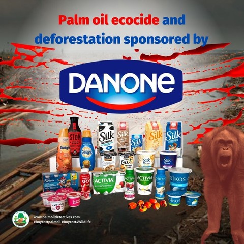 Did you know that #Nutella contains forest-destroying palm oil? Help rare animals and buy #palmoilfree #chocolate spread, #peanutbutter cooking oil. FYI 

#Mondelez

#Ferrero

#Nestle

#Danone 

#Mars

 cause #ecocide #Boycottpalmoil #Boycott4Wildlife https://palmoildetectives.com/2021/02/11/palm-oil-free-cooking-oil-margarine-and-spreads/