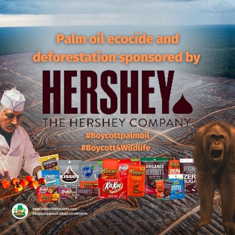 Did you know that #Nutella contains forest-destroying palm oil? Help rare animals and buy #palmoilfree #chocolate spread, #peanutbutter cooking oil. FYI 

#Mondelez

#Ferrero

#Nestle

#Danone 

#Mars

 cause #ecocide #Boycottpalmoil #Boycott4Wildlife https://palmoildetectives.com/2021/02/11/palm-oil-free-cooking-oil-margarine-and-spreads/