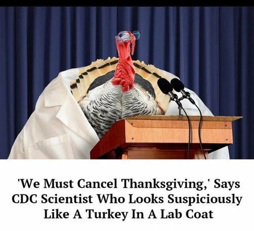 A suspiciously turkey-looking scientist in a lab coat speaks at the podium. This scientist realllly looks like a turkey - but don't be alarmed he says, he assures us that he is definitely not a turkey.