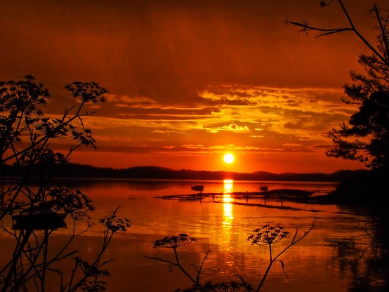 California Sunsett