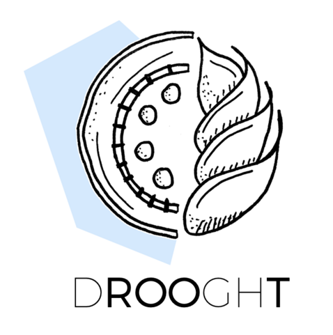 logo of research project drooght, representing  half a root and half a wheat head