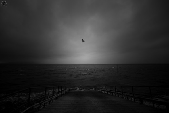 Monochrome shot of shoreline, concrete ramp going down to the sea, with cloudy sky, rough seas and a lone seagull in centre of shot