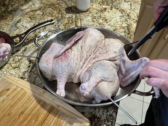 A spatchcocked duck in a pan on a kitchen counter.