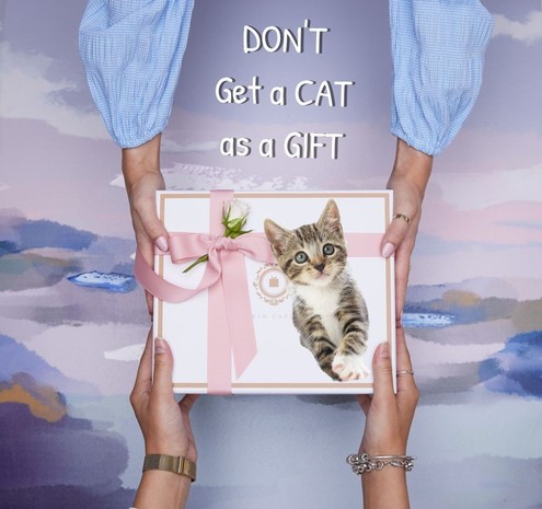 Photo illustration of two sets of hands gripping a tray with what looks like a gift wrapped kitten on it with text saying don't give a cat as a gift.