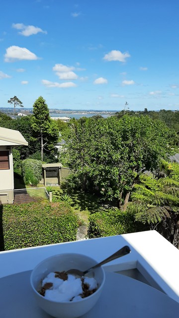 View from a perch on our deck looking out across leafy gardens and a bush reserve, out towards the farthest part of Auckland's western harbour. Blue sky and a few small fluffy clouds.