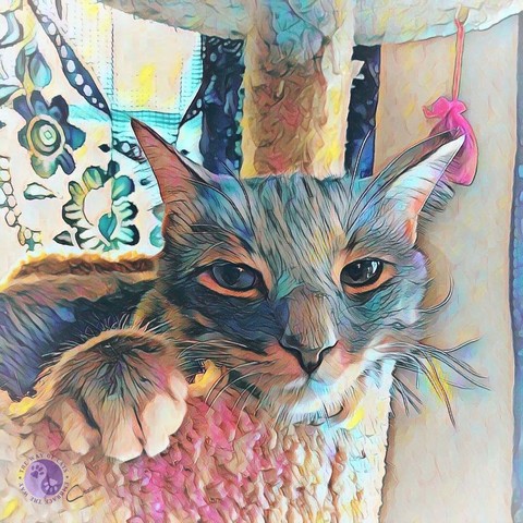 Rendered in soft watercolors, a gray tabby cat with a loving expression rests his white chin and white toed paw on the edge of a cat tree shelf, with a dangling pink toy and a green lace curtain fills the background, illustrating Mellow Cat Help.