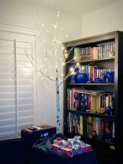 As described in the post, a simple white abstract bare birch artificial Christmas tree with tiny clear lights wired into the small branch tips. Setting on a tall side table next to a bookcase and to the left, the white wood shuttered front windows.