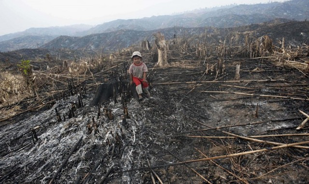 Image - child sits in a burned out field of dead rainforest 

2021 #Research: Outbreaks of vector-borne and #zoonotic #diseases e.g. COVID-19 are linked to changes in forest cover and global #palmoil expansion #Boycott4Wildlife #Boycottpalmoil   https://palmoildetectives.com/2022/01/27/2021-research-outbreaks-of-vector-borne-and-zoonotic-diseases-are-linked-to-changes-in-forest-cover-and-palm-oil-global-expansion/ via 
@palmoildetectives