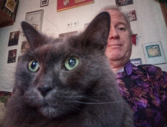 A selfie of Lovely, the beautiful grey fluffy cat, with her human in the background providing a comfy spot to sit upon.