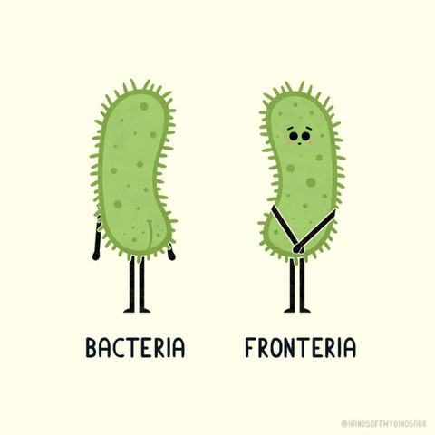 picture of a bacterium from behind - titled "bacteria"
...and picture of a bacterium from the front side - titled "fronteria"