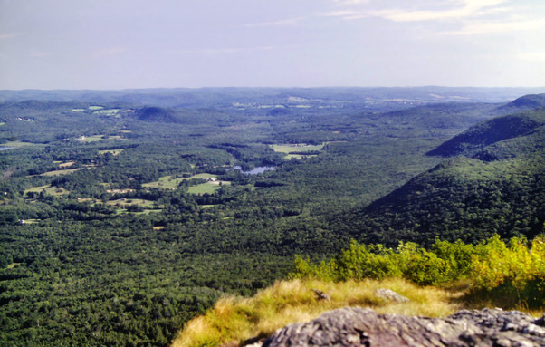 We are standing on a rock outcrop at the top of a high cliff. Much of the cliff top around us is covered with greenish gold grassy plants and small green shrubs. On the right of our picture the ridge crest continues over a forested plateau with series of wooded prominences. We can just see the edge of this plateau and several ridges running down to the valley below. Most of our view is the relatively flat Housatonic Valley below us and stretching out to the low, rolling Litchfield Hills along the horizon. Both hills and valleys are mostly wooded with some green fields and pastures, especially in the valley.