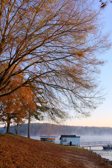 Trees with remaining orange/brown leave hanging over a lake, boat rack, boathouse,