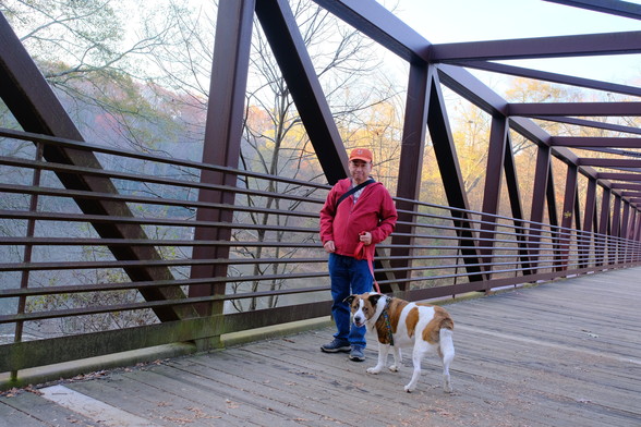 A man with an orange hat and jacket holding his white and brown dog on a pedestrian bridge over a creek