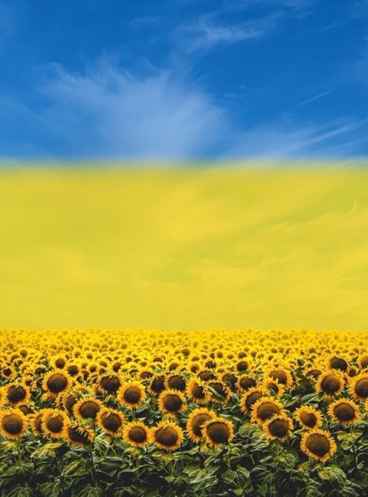 A blue sky at the top, then a yellow gradient, then a horizontal field of sunflowers. The blue and yellow indicate the Ukrainian flag. Sunflowers are a Ukrainian symbol of peace and nationality