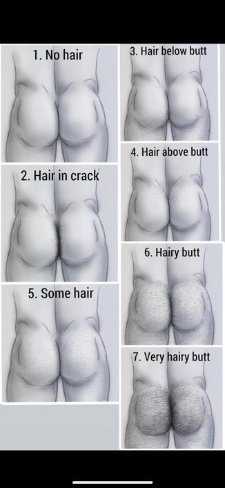 Butt hair diagram
