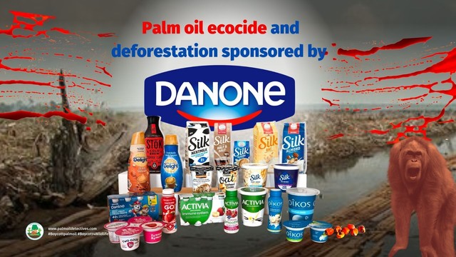 Pictured: Danone logo surrounded by products and a crying orangutan in a setting of palm oil ecocide. 


Did you know that #Nutella contains forest-destroying #palmoil? Become a Palm Oil Detective this #Christmas and buy #chocolatespread #peanutbutter #margarine free from #palmoil as #Mondelez #Nestle #Danone cause species extinction for cooking oils! Learn more about how you can #Boycottpalmoil #Boycott4Wildlife https://palmoildetectives.com/2021/02/11/palm-oil-free-cooking-oil-margarine-and-spreads/ via @palmoildetect