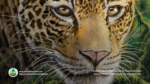 Pictured: Beautiful painting of a jaguar by Ecuadorian artist Juanchi Perez. 

Juanchi Pérez is a #vegan #animalrights advocate and #wildlife artist who paints species of #Peru #Ecuador in his exquisite art. He discusses why #animals should matter more to us all than #greed @ZIGZE #Boycottpalmoil #Boycott4Wildlife https://palmoildetectives.com/2023/08/27/wildlife-artist-and-animal-rights-advocate-juanchi-perez-in-his-own-words/ via @palmoildetectives