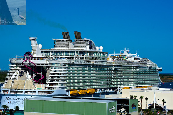 An outdoor, daytime photograph of a cruise ship docked in Port Canaveral. The ship has a tall waterslide at the aft, allowing passengers to slide from nearly the top of the ship to the deck.