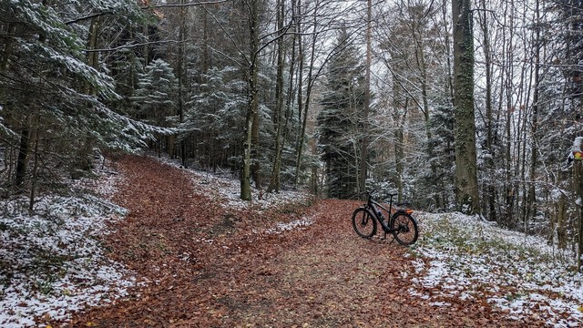 Leaf-covered fire road, and a path to the left. Trees covered in a thin layer of snow. An eBike.
