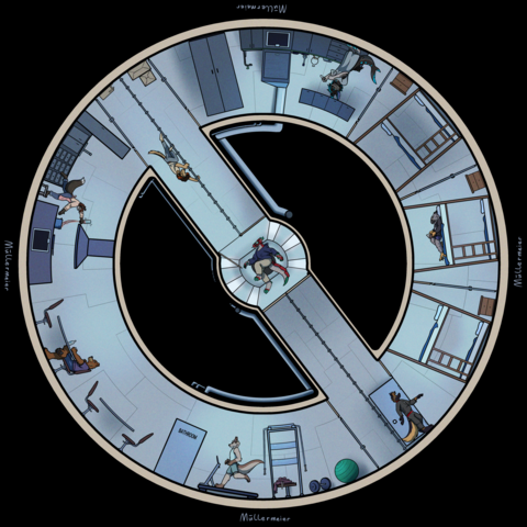 Elevation drawing of a space station habitat ring with furries inside