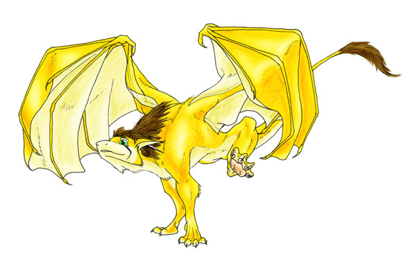 An illustration of a golden dragon mid run. Both front legs are on the ground and both back legs are held up high. Wings are semi-spread out and head is pushed forward and slightly up, as if the dragon is about to take off.