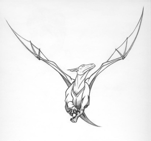 A black and white pencil sketch of a dragon mid-flight. The dragon's body is facing the viewer while the dragon itself is looking to its left, wings are raised up and the front right leg is raised up and forward towards the viewer.