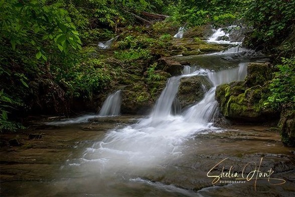 Beautiful long exposure of white cascades set in lush greenery of the forests in Southwest Virginia. This exudes peace and serenity, from the Fine Art Gallery of Shelia Hunt.