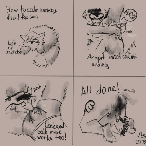 4 panel NSFW comic about calming a fox with anxiety.  Panel 1: a fox shaped like a borger is crying. Arrow pointing towards it saying â€œball of anxietyâ€�. In top: â€œHow to calm anxiety foxâ€�. Panel 2; anthro fox sniffing an armpit. It says: â€œarmpit sweat calms anxietyâ€�. Panel 3: anthropomorphic fox shaped like a snake-bean sniffing someoneâ€™s bulge. It says, that cock and balls sweat works too! Panel 4: some anthro dude sitting on calm foxes face. It says: â€œAll done!â€�