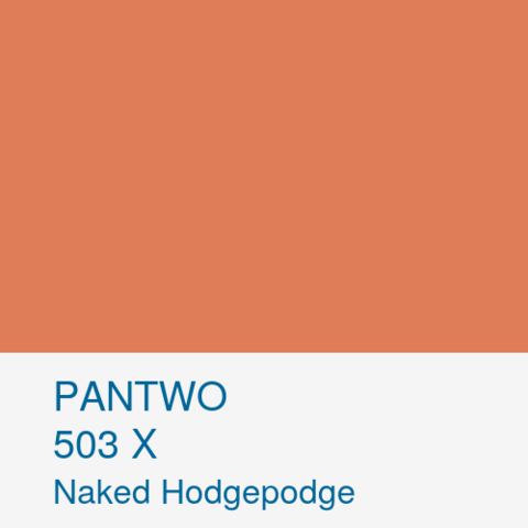 PANTWO color name: Naked Hodgepodge; Pantwo Matching System number: 503 X; RGB (224, 125, 89)