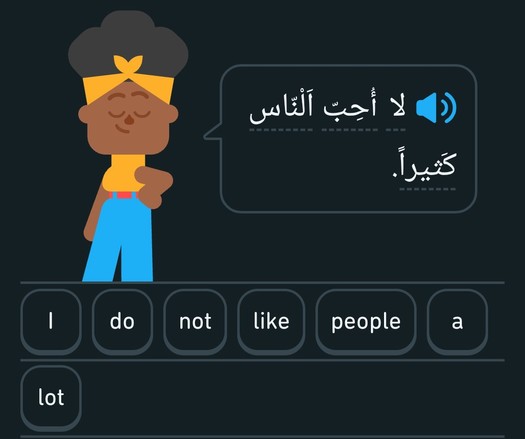 Arabisch zu Englisch:
I do not like people a lot.