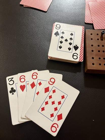 Cribbage hand 3669 and starter card 9