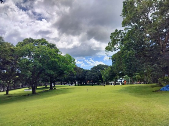 A sprawling lawn with a treeline in the middle part of the picture and a cloudy sky above.