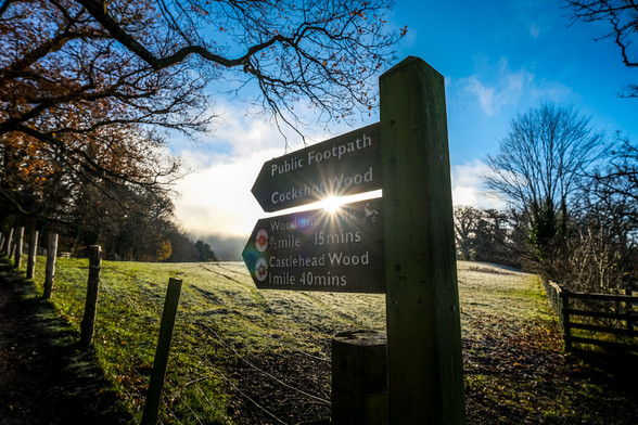 Wooden signpost with two arrow boards, sun peaking between the board. Woodland and fields in background, bright blue skies above