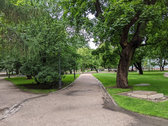 "Le parc de la vieille église" à Helsinki. On voit des allées entourées de grands arbres