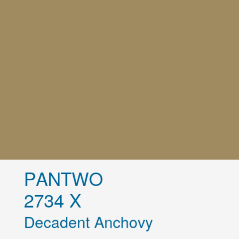 PANTWO color name: Decadent Anchovy; Pantwo Matching System number: 2734 X; RGB (160, 138, 96)