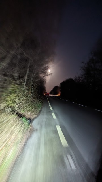 Blurry photo taken from a bicycle in motion down the hard shoulder. A misty full moon is visible through the overhanging tree branches.