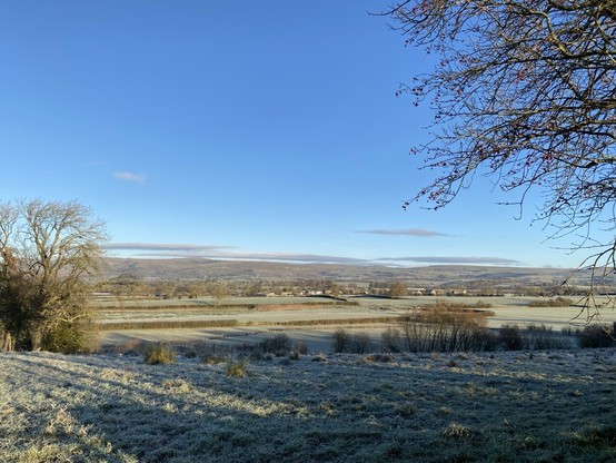 Frost covered fields bordered by trees, hills in the background and a clear blue sky.